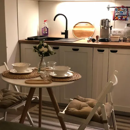 Apartmán Cozy Prague Airport- 5 Minute Drive From Airport *