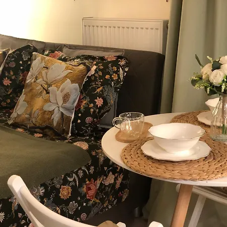 Apartmán Cozy Prague Airport- 5 Minute Drive From Airport